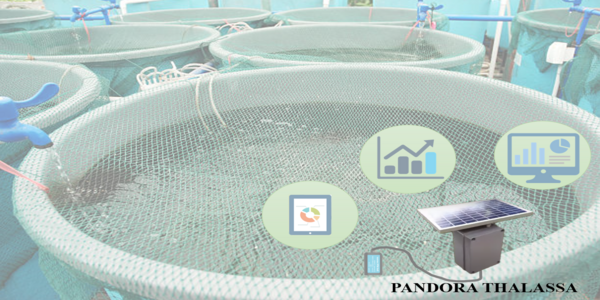 SIAA-Hexa-ioT-Aquaculture-Farm